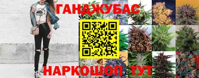хмурый Шелехов