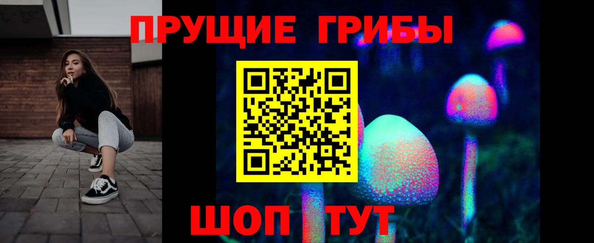 даркнет сайт  Вход с VPN  Мыски  Галлюциногенные грибы Psilocybe 